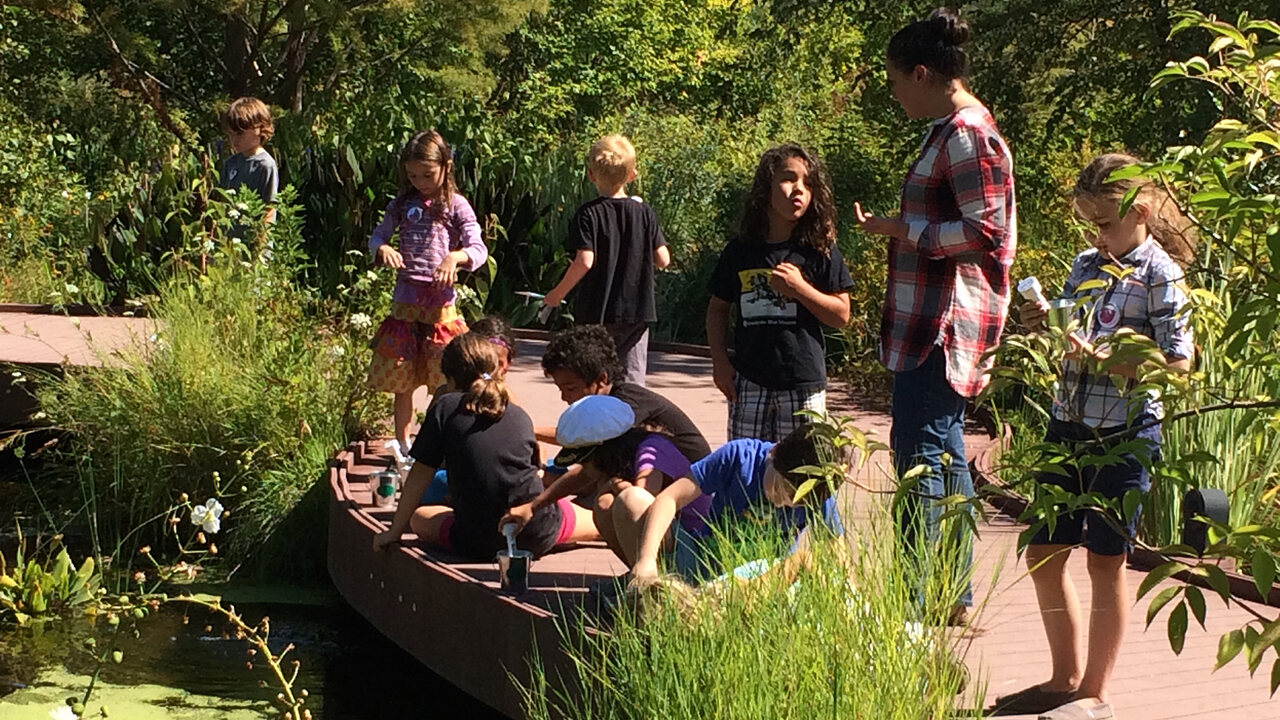 Students Complete Community Garden Project